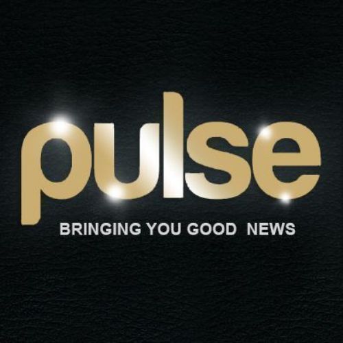 Segui Creative Studio anche su Android grazie a PULSE