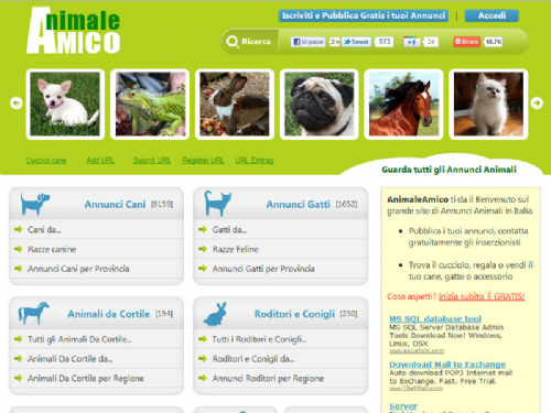 Annunci Animali AnimaleAmico.com - nuovo portale