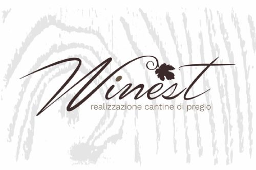 Ideazione logo Winest